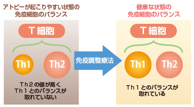 What’s immunoregulation therapy?